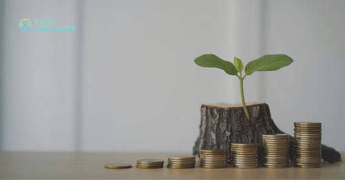 How to Actually Drive ROI from Your Digital Publishing Platform (Not Just Measure It)