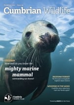 Cumbrian Wildlife Trust - Magazine - Nov 2025